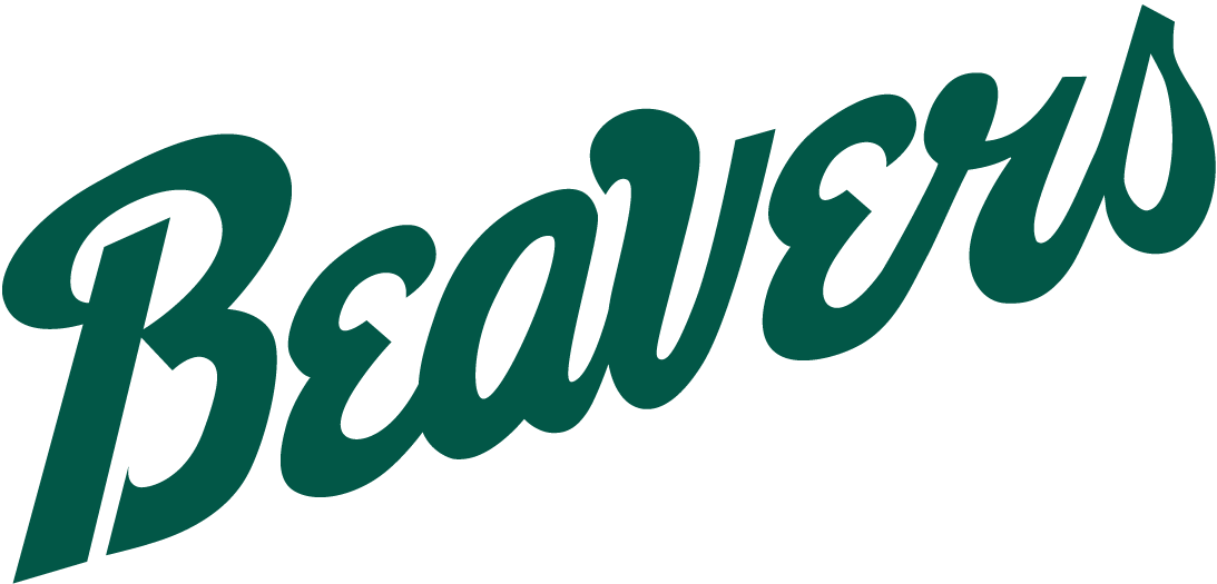 Bemidji State Beavers 2004-Pres Wordmark Logo iron on transfers for T-shirts